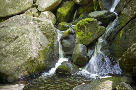 To use this stock image in your creative project, please select the size you need over to the right and click the "Add to Cart" button.
Your downloaded image will come with the Cutcaster watermark removed so don’t worry about the watermark you see on this page. Waterfall stock photo, A beautiful waterfall flowing through some rocks in the woods. by Todd Arena