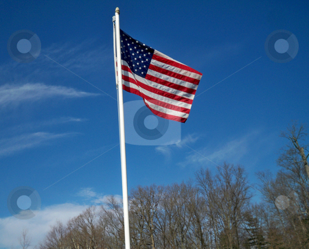 To use this stock image in your creative project, please select the size you need over to the right and click the "Add to Cart" button.
Your downloaded image will come with the Cutcaster watermark removed so don’t worry about the watermark you see on this page. American Flag against a brilliant blue sky stock photo, An American flag proudly flying against a bright blue, slightly cloudy sky, with tree tops in the background by Sandra Fann