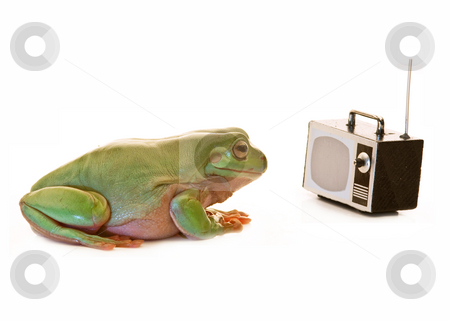Tv Frog Deutsch