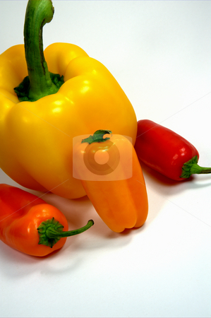 To use this stock image in your creative project, please select the size you need over to the right and click the "Add to Cart" button.
Your downloaded image will come with the Cutcaster watermark removed so don’t worry about the watermark you see on this page. Colorful Sweet Peppers stock photo, Different colored sweet and bell peppers on a light colored background by Lynn Bendickson