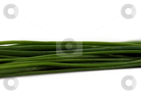 To use this stock image in your creative project, please select the size you need over to the right and click the "Add to Cart" button.
Your downloaded image will come with the Cutcaster watermark removed so don’t worry about the watermark you see on this page. Chives stock photo, Bundle of fresh green chives on white background. by Henrik Lehnerer
