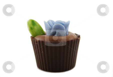 To use this stock image in your creative project, please select the size you need over to the right and click the "Add to Cart" button.
Your downloaded image will come with the Cutcaster watermark removed so don’t worry about the watermark you see on this page. Single Flowerpot Chocolate stock photo, Delightful single handmade flowerpot chocolate. by Brett Mulcahy