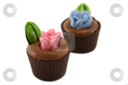 To use this stock image in your creative project, please select the size you need over to the right and click the "Add to Cart" button.
Your downloaded image will come with the Cutcaster watermark removed so don’t worry about the watermark you see on this page. Flowerpot Chocolates stock photo, Delightful and colorful handmade flowerpot chocolates. by Brett Mulcahy