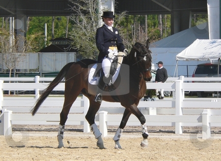 To use this stock image in your creative project, please select the size you need over to the right and click the "Add to Cart" button.
Your downloaded image will come with the Cutcaster watermark removed so don’t worry about the watermark you see on this page. Dressage stock photo, Horse and rider preparing to compete in an international dressage competition in West Palm Beach, FL by Perry Correll