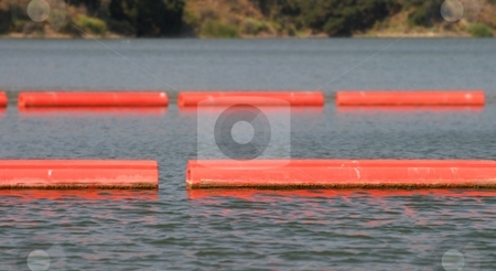 To use this stock image in your creative project, please select the size you need over to the right and click the "Add to Cart" button.
Your downloaded image will come with the Cutcaster watermark removed so don’t worry about the watermark you see on this page. Lake Barriers stock photo, Orange red lake barriers to keep boats out of an area. by Henrik Lehnerer