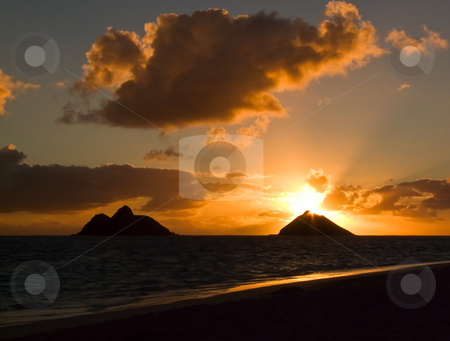 To use this stock image in your creative project, please select the size you need over to the right and click the "Add to Cart" button.
Your downloaded image will come with the Cutcaster watermark removed so don’t worry about the watermark you see on this page. Sunrise Lanikai Beach stock photo, Tropical sunrise at Lanikai Beach, Oahu, Hawaii. by Peter Van veldhoven