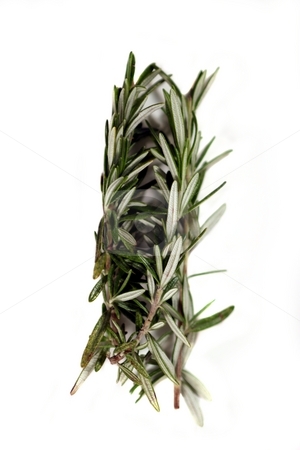 To use this stock image in your creative project, please select the size you need over to the right and click the "Add to Cart" button.
Your downloaded image will come with the Cutcaster watermark removed so don’t worry about the watermark you see on this page. Rosemary stock photo, Fresh green herb rosemary on white background. by Henrik Lehnerer