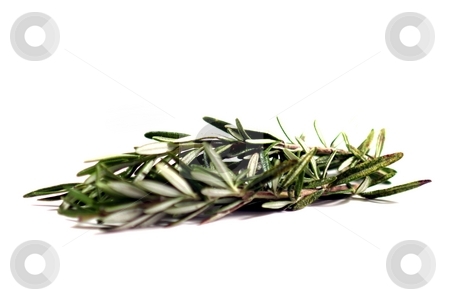 To use this stock image in your creative project, please select the size you need over to the right and click the "Add to Cart" button.
Your downloaded image will come with the Cutcaster watermark removed so don’t worry about the watermark you see on this page. Rosemary stock photo, Fresh green herb rosemary on white background. by Henrik Lehnerer