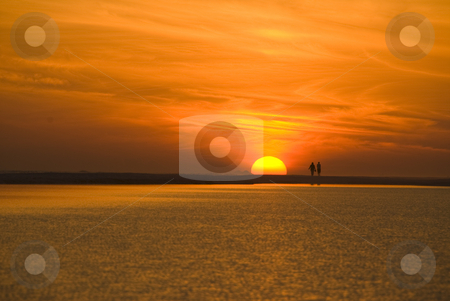 To use this stock image in your creative project, please select the size you need over to the right and click the "Add to Cart" button.
Your downloaded image will come with the Cutcaster watermark removed so don’t worry about the watermark you see on this page. Couple Walk in Sunset stock photo, A couple walks along the beach during sunset with a spectacularly colorful sky by A Cotton Photo