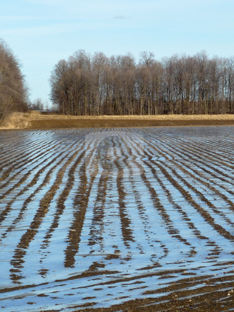 To use this stock image in your creative project, please select the size you need over to the right and click the "Add to Cart" button.
Your downloaded image will come with the Cutcaster watermark removed so don’t worry about the watermark you see on this page. Icy furrows in field stock photo, by J.G. Byers