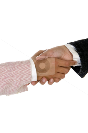 To use this stock image in your creative project, please select the size you need over to the right and click the "Add to Cart" button.
Your downloaded image will come with the Cutcaster watermark removed so don’t worry about the watermark you see on this page. Shaking hands stock photo, Shaking hands against white background by Imagery Majestic