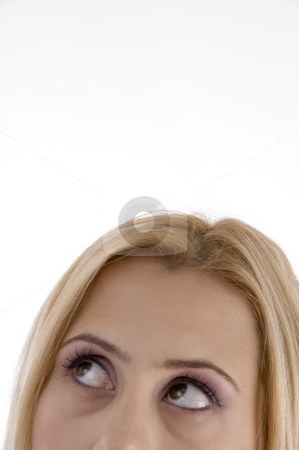 To use this stock image in your creative project, please select the size you need over to the right and click the "Add to Cart" button.
Your downloaded image will come with the Cutcaster watermark removed so don’t worry about the watermark you see on this page. Close up beautiful eyes of woman stock photo, Close up beautiful eyes of woman on an isolated white background by Imagery Majestic