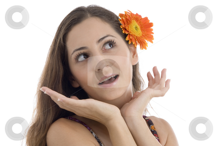 To use this stock image in your creative project, please select the size you need over to the right and click the "Add to Cart" button.
Your downloaded image will come with the Cutcaster watermark removed so don’t worry about the watermark you see on this page. Female with gerbera in hair giving surprising expression stock photo, Female with gerbera in hair giving surprising expression on an isolated white background by Imagery Majestic