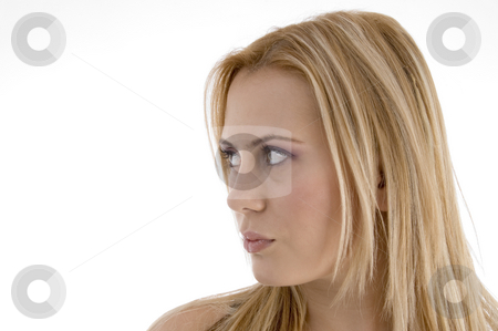 To use this stock image in your creative project, please select the size you need over to the right and click the "Add to Cart" button.
Your downloaded image will come with the Cutcaster watermark removed so don’t worry about the watermark you see on this page. Close up beautiful face of woman stock photo, Close up beautiful face of woman on an isolated background by Imagery Majestic