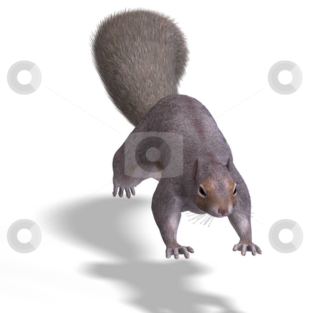 To use this stock image in your creative project, please select the size you need over to the right and click the "Add to Cart" button.
Your downloaded image will come with the Cutcaster watermark removed so don’t worry about the watermark you see on this page. Squirrel 3D Render stock photo, Rendering of a cute Squirrel with Clipping Path by Ralf Kraft