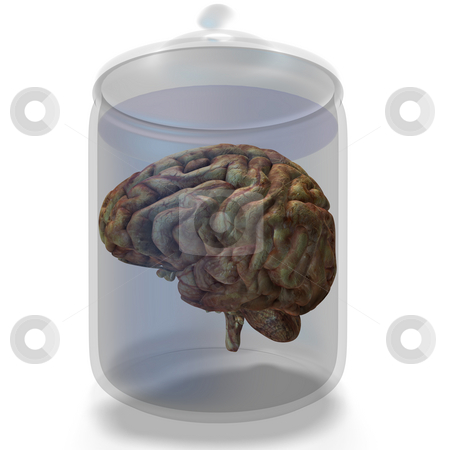 To use this stock image in your creative project, please select the size you need over to the right and click the "Add to Cart" button.
Your downloaded image will come with the Cutcaster watermark removed so don’t worry about the watermark you see on this page. Human brain stock photo, Older human brain lies in a glas with clipping path by Ralf Kraft
