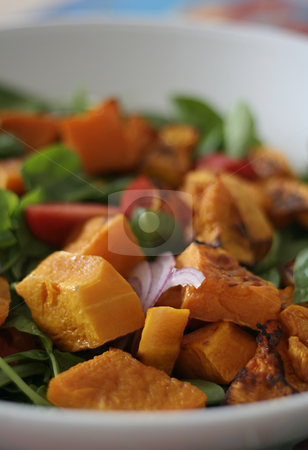 To use this stock image in your creative project, please select the size you need over to the right and click the "Add to Cart" button.
Your downloaded image will come with the Cutcaster watermark removed so don’t worry about the watermark you see on this page. Roast pumpkin salad stock photo, Roast pumpkin salad, shallow focus by Gary Cookson