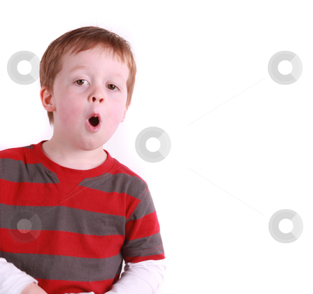 To use this stock image in your creative project, please select the size you need over to the right and click the "Add to Cart" button.
Your downloaded image will come with the Cutcaster watermark removed so don’t worry about the watermark you see on this page. Happy Boy talking stock photo, Happy boy 4 years old talking, isolated on white by Gary Cookson