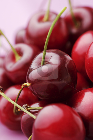 To use this stock image in your creative project, please select the size you need over to the right and click the "Add to Cart" button.
Your downloaded image will come with the Cutcaster watermark removed so don’t worry about the watermark you see on this page. Cherries stock photo, Bunch of fresh,juicy, ripe cherries, shallow dof by Liv Friis-Larsen
