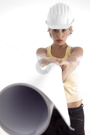 To use this stock image in your creative project, please select the size you need over to the right and click the "Add to Cart" button.
Your downloaded image will come with the Cutcaster watermark removed so don’t worry about the watermark you see on this page. Female with architect helmet and blue prints stock photo, Female with architect helmet and blue prints on an isolated background by Imagery Majestic