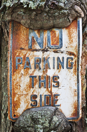 To use this stock image in your creative project, please select the size you need over to the right and click the "Add to Cart" button.
Your downloaded image will come with the Cutcaster watermark removed so don’t worry about the watermark you see on this page. No Parking This Side stock photo, An old No Parking sign using a tree as the sign post by Stephen Bonk