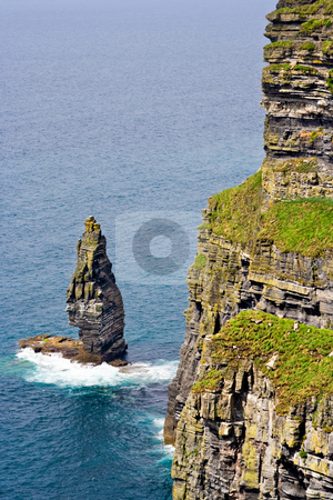 To use this stock image in your creative project, please select the size you need over to the right and click the "Add to Cart" button.
Your downloaded image will come with the Cutcaster watermark removed so don’t worry about the watermark you see on this page. The Cliffs of Moher stock photo, The Cliffs of Moher in County Clare, Ireland. This is on the Atlantic Ocean coastline. by Stephen Bonk