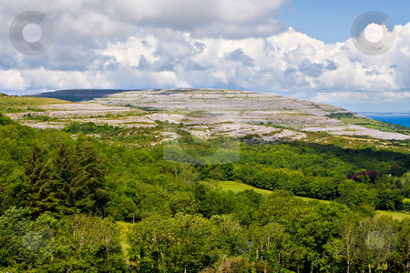 To use this stock image in your creative project, please select the size you need over to the right and click the "Add to Cart" button.
Your downloaded image will come with the Cutcaster watermark removed so don’t worry about the watermark you see on this page. Ireland Landscape of The Burren stock photo, Green trees in foreground followed by a large hill of The Burren in County Clare, Ireland by Stephen Bonk