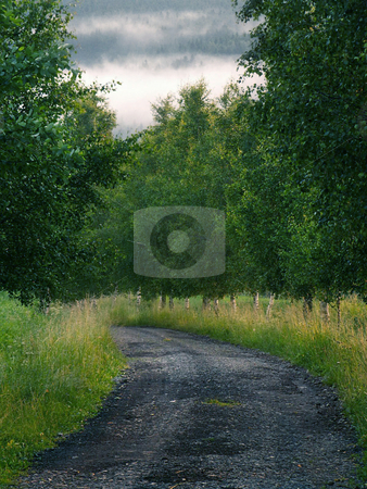 To use this stock image in your creative project, please select the size you need over to the right and click the "Add to Cart" button.
Your downloaded image will come with the Cutcaster watermark removed so don’t worry about the watermark you see on this page. Road stock photo, by Sarka