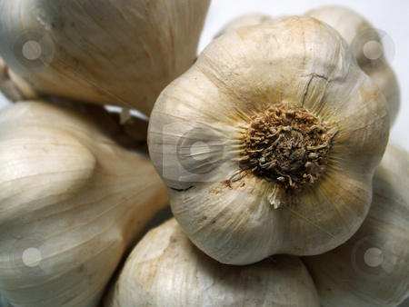 To use this stock image in your creative project, please select the size you need over to the right and click the "Add to Cart" button.
Your downloaded image will come with the Cutcaster watermark removed so don’t worry about the watermark you see on this page. Garlic stock photo, by Sarka