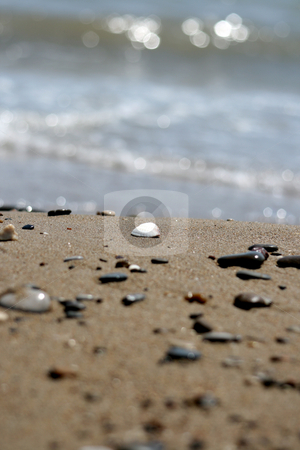 To use this stock image in your creative project, please select the size you need over to the right and click the "Add to Cart" button.
Your downloaded image will come with the Cutcaster watermark removed so don’t worry about the watermark you see on this page. Shells On Beach stock photo, Waves breaking on beach covered with shell fragments brighton australia by Tudor Antonel adrian