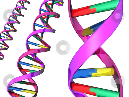 To use this stock image in your creative project, please select the size you need over to the right and click the "Add to Cart" button.
Your downloaded image will come with the Cutcaster watermark removed so don’t worry about the watermark you see on this page. Illustration of DNA double helix stock photo, Illustration of colorful DNA double helixes by Christos Georghiou