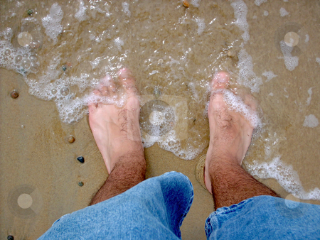 To use this stock image in your creative project, please select the size you need over to the right and click the "Add to Cart" button.
Your downloaded image will come with the Cutcaster watermark removed so don’t worry about the watermark you see on this page. Hairy, Cold, Wet Feet stock photo, The ocean is washing ashore on my piggie toes. by Todd Arena
