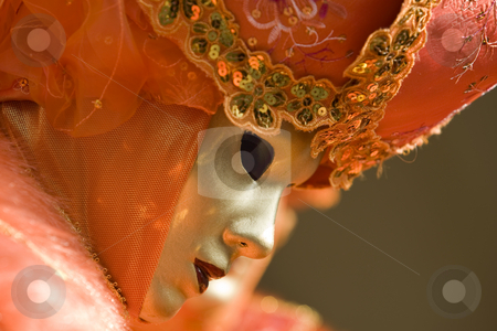 To use this stock image in your creative project, please select the size you need over to the right and click the "Add to Cart" button.
Your downloaded image will come with the Cutcaster watermark removed so don’t worry about the watermark you see on this page. The masks of Venice stock photo, Professional masks I've seen during the carnival held in Venice in Italy, February 2009. by Zoltan Kiraly