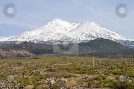 To use this stock image in your creative project, please select the size you need over to the right and click the "Add to Cart" button.
Your downloaded image will come with the Cutcaster watermark removed so don’t worry about the watermark you see on this page. Mt. Shasta stock photo, Mount Shasta covered in snow, near Weed, California by Harris Shiffman