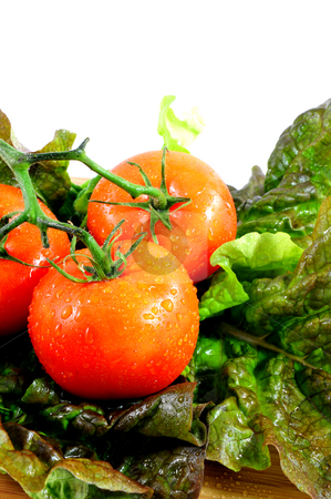 To use this stock image in your creative project, please select the size you need over to the right and click the "Add to Cart" button.
Your downloaded image will come with the Cutcaster watermark removed so don’t worry about the watermark you see on this page. Tomatoes And Lettuce stock photo, Tomatoes and Lettuce on a cutting boar by Lynn Bendickson