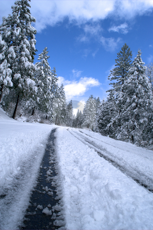 To use this stock image in your creative project, please select the size you need over to the right and click the "Add to Cart" button.
Your downloaded image will come with the Cutcaster watermark removed so don’t worry about the watermark you see on this page. Snowy Mountain Road stock photo, Sierra mountain road lined with trees and covered snow on a clear winter day. by Lynn Bendickson