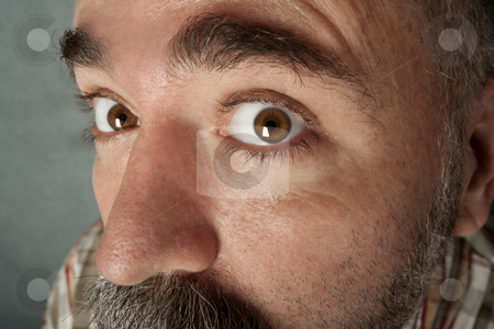 To use this stock image in your creative project, please select the size you need over to the right and click the "Add to Cart" button.
Your downloaded image will come with the Cutcaster watermark removed so don’t worry about the watermark you see on this page. Extreme closeup of man in his 40s stock photo, Extreme closeup of a man in his forties with mustache by Scott Griessel