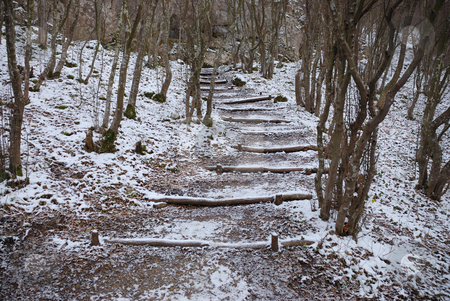 To use this stock image in your creative project, please select the size you need over to the right and click the "Add to Cart" button.
Your downloaded image will come with the Cutcaster watermark removed so don’t worry about the watermark you see on this page. Staircase in wood stock photo, Staircase made of trunks in a forest in winter. by Ivan Paunovic