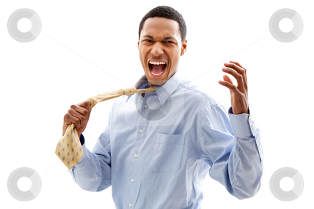 To use this stock image in your creative project, please select the size you need over to the right and click the "Add to Cart" button.
Your downloaded image will come with the Cutcaster watermark removed so don’t worry about the watermark you see on this page. Angry man stock photo, Angry screaming African American business man in blue shirt pulling yellow tie, isolated by Paul Hakimata