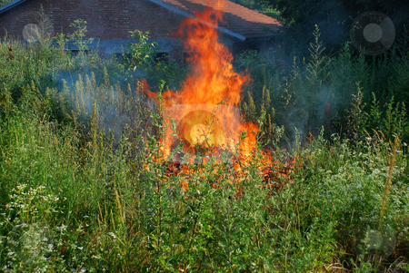 To use this stock image in your creative project, please select the size you need over to the right and click the "Add to Cart" button.
Your downloaded image will come with the Cutcaster watermark removed so don’t worry about the watermark you see on this page. Fire in green grass stock photo, Orange flame in green grass by brick house with tiled roof by Julija Sapic