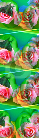 To use this stock image in your creative project, please select the size you need over to the right and click the "Add to Cart" button.
Your downloaded image will come with the Cutcaster watermark removed so don’t worry about the watermark you see on this page. Wood Roses stock photo, Art Image, Small and long Image with pink Roses decorated wth green Peppers unterneasth,1572x5500 Pixel, 24,7 MB, 300 dpi by Ute Wingenfeld