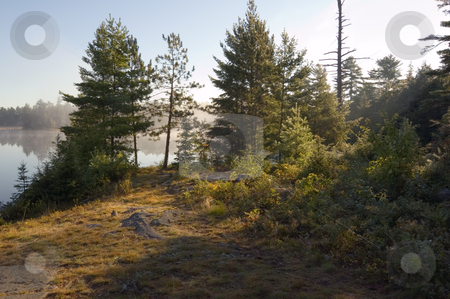 To use this stock image in your creative project, please select the size you need over to the right and click the "Add to Cart" button.
Your downloaded image will come with the Cutcaster watermark removed so don’t worry about the watermark you see on this page. Morning stock photo, Early morning in forest of Killarney Park by Pavel Cheiko
