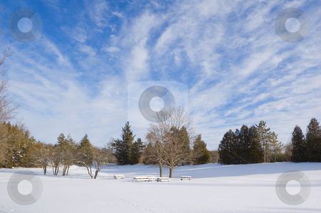 To use this stock image in your creative project, please select the size you need over to the right and click the "Add to Cart" button.
Your downloaded image will come with the Cutcaster watermark removed so don’t worry about the watermark you see on this page. Winter stock photo, Barbecue tables under snow in Ontario park by Pavel Cheiko