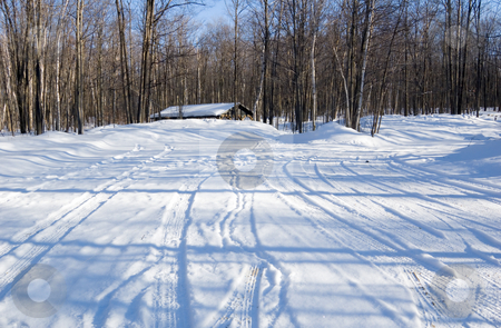 To use this stock image in your creative project, please select the size you need over to the right and click the "Add to Cart" button.
Your downloaded image will come with the Cutcaster watermark removed so don’t worry about the watermark you see on this page. Storehouse in winter forest stock photo, Barbecue tables under snow in Ontario park by Pavel Cheiko