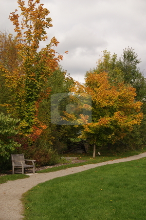 To use this stock image in your creative project, please select the size you need over to the right and click the "Add to Cart" button.
Your downloaded image will come with the Cutcaster watermark removed so don’t worry about the watermark you see on this page. Winding pathway with fall colors stock photo, A winding pathway in the arboretum at the University of Guelph, with fall colors. by Kevin Woodrow