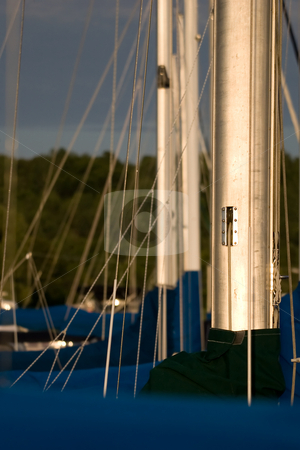 To use this stock image in your creative project, please select the size you need over to the right and click the "Add to Cart" button.
Your downloaded image will come with the Cutcaster watermark removed so don’t worry about the watermark you see on this page. Masts in a row stock photo, A group of Sailboat masts and rigging. by Kevin Woodrow