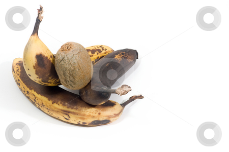 To use this stock image in your creative project, please select the size you need over to the right and click the "Add to Cart" button.
Your downloaded image will come with the Cutcaster watermark removed so don’t worry about the watermark you see on this page. Over-ripened bananas stock photo, 3 over-ripened bananas and a kiwi, isolated on white. by Kevin Woodrow