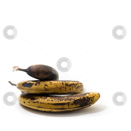 To use this stock image in your creative project, please select the size you need over to the right and click the "Add to Cart" button.
Your downloaded image will come with the Cutcaster watermark removed so don’t worry about the watermark you see on this page. Over-ripenned bananas, isolated stock photo, 3 over-ripenned bananas, isolated on white. by Kevin Woodrow