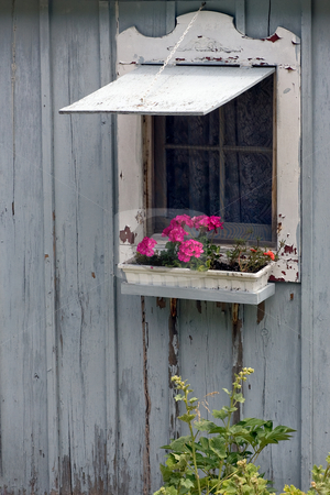 To use this stock image in your creative project, please select the size you need over to the right and click the "Add to Cart" button.
Your downloaded image will come with the Cutcaster watermark removed so don’t worry about the watermark you see on this page. Cottage Window with Flower Box stock photo, An old cottage wall with open window and flower box. by Kevin Woodrow