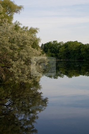 To use this stock image in your creative project, please select the size you need over to the right and click the "Add to Cart" button.
Your downloaded image will come with the Cutcaster watermark removed so don’t worry about the watermark you see on this page. Pond Reflections stock photo, Large tree on the left side overhanging a pond with full reflection of the tree and sky. by Kevin Woodrow